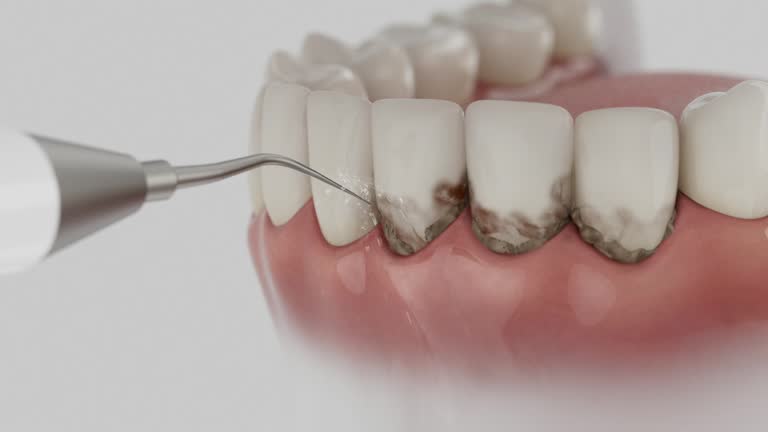 Reliable Dental contractor in New Port Richey, FL by Dentist Open Now